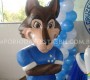 cruzeiro_14