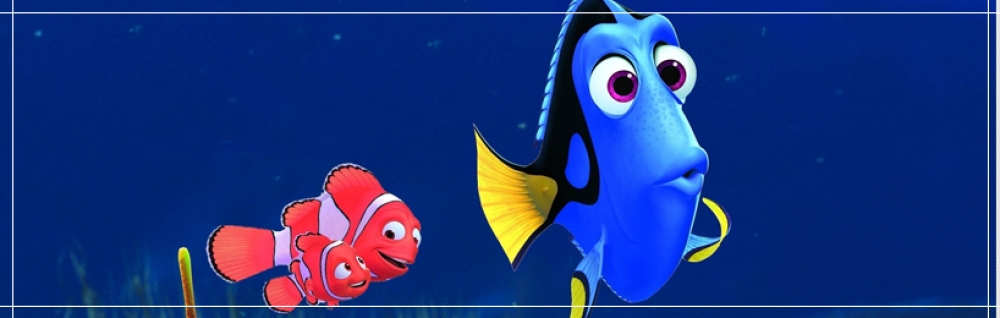 Procurando Nemo